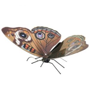 ÷ Maqueta 3d metal fascinations mariposa buckeye montaje sin pegamento ni soldadura