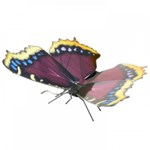 ÷ Maqueta 3d metal fascinations mariposa mourning cloak montaje sin pegamento ni soldadura