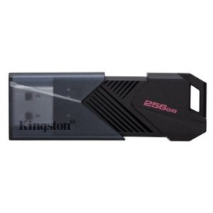 ÷ Memoria usb 256gb kingston dtxon/256gb usb3.2