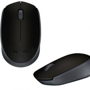 Raton óptico inalámbrico Logitech M171 Negro 910-004424