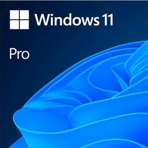 Windows 11 Pro 64 Bit Oem / DVD  FQC-10552 V.24H2
