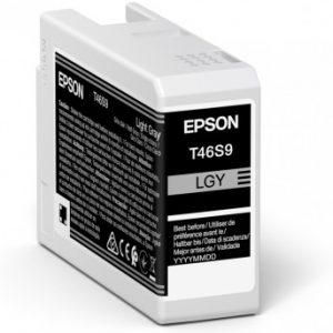 ÷ Tinta original epson t46s9 gris claro 25ml